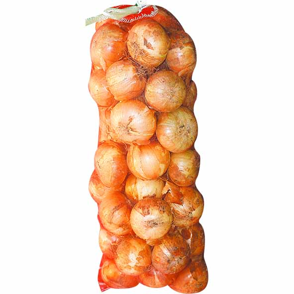 양파